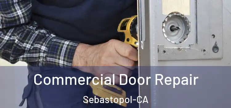  Commercial Door Repair Sebastopol-CA
