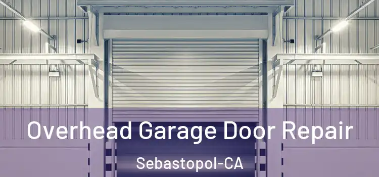 Overhead Garage Door Repair Sebastopol-CA
